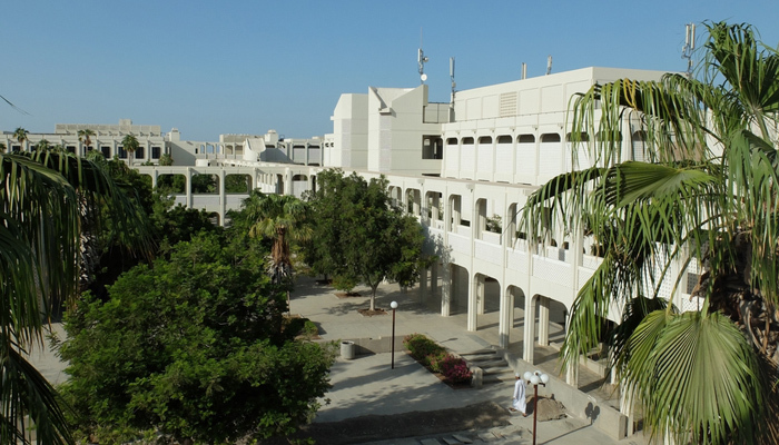 Activation of Innovation Programs